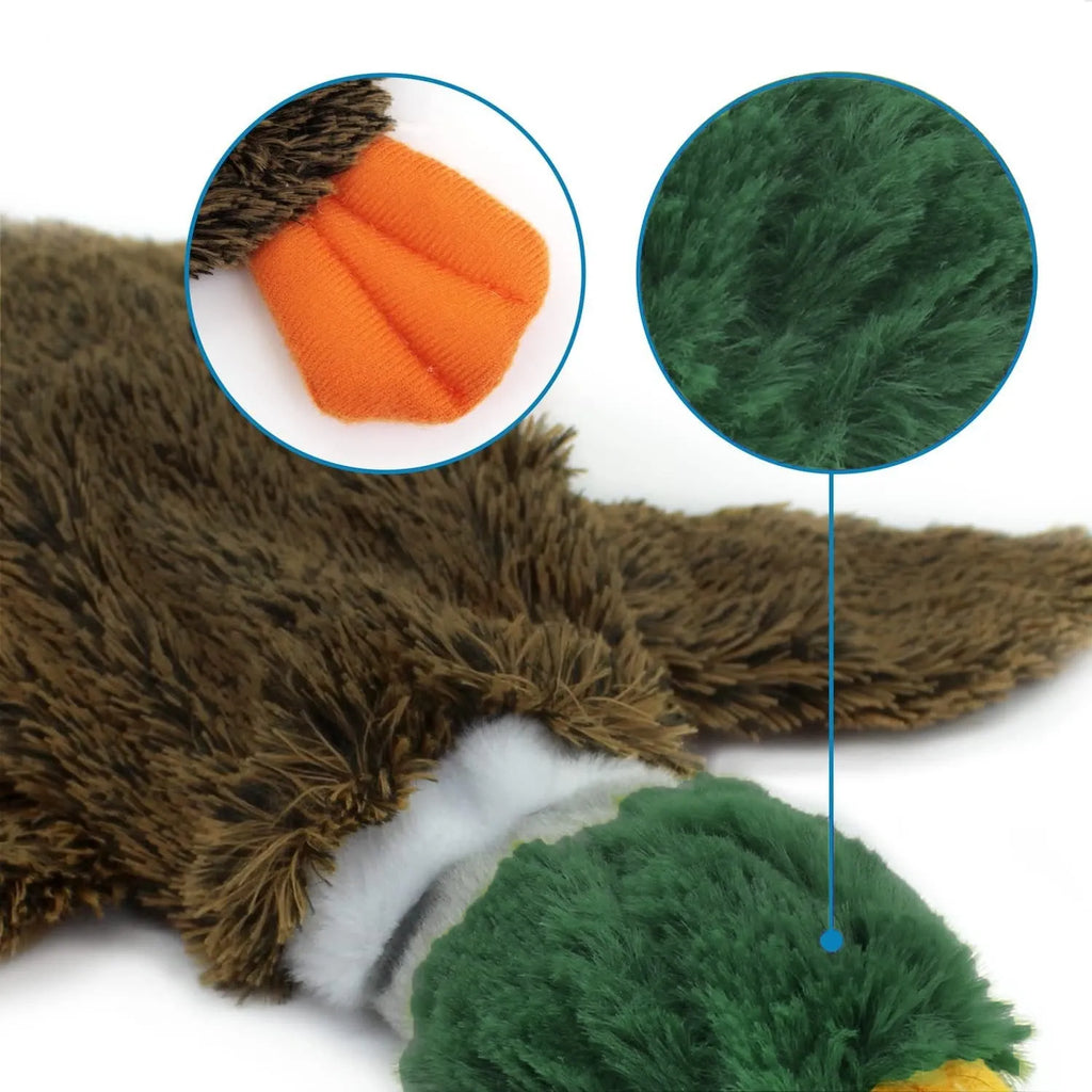 Green stuffless squeaky duck dog toy with bottle cavity for indoor play with dogs