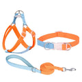 Polyester ribbon dog collar, lead, and chest strap set in a two-tone colour, shown with size adjustment buckle.