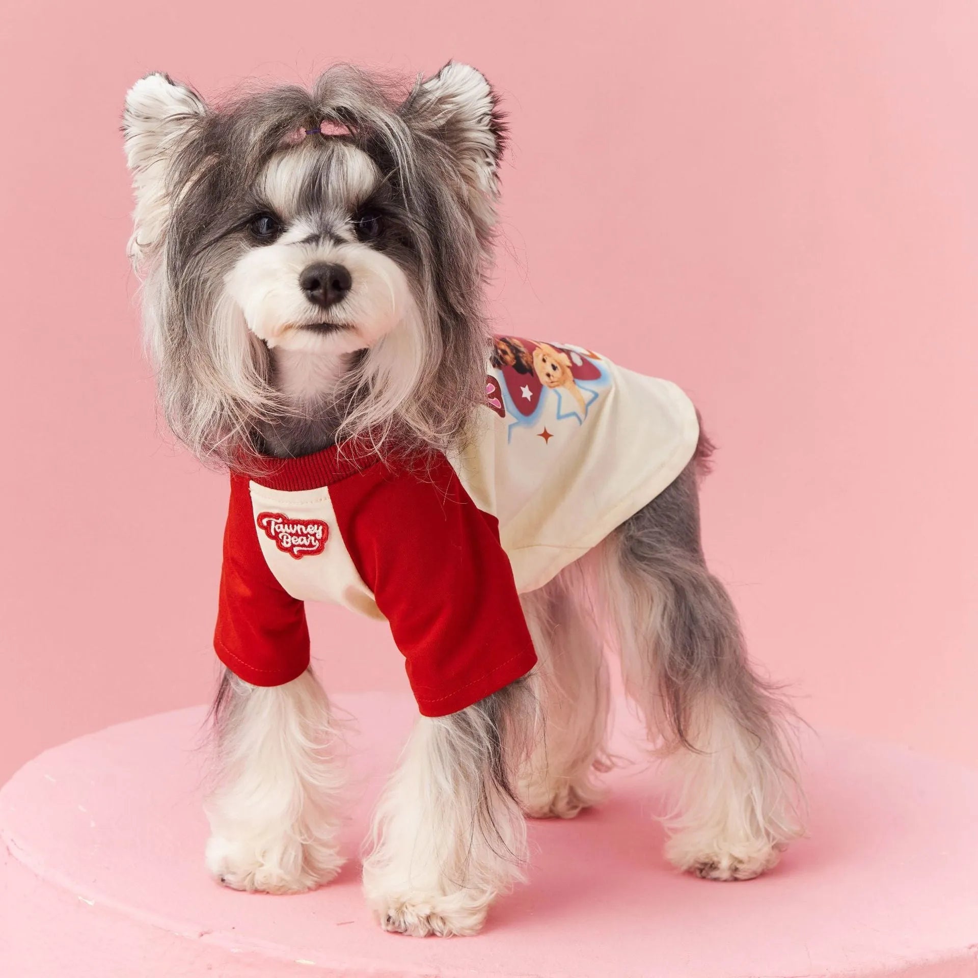 Cotton summer dog clothes with contrast colour details in embroidered red or pink, available in six sizes