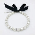 Small dog wearing an adjustable blue imitation pearl and rhinestone necklace with a ribbon bow.