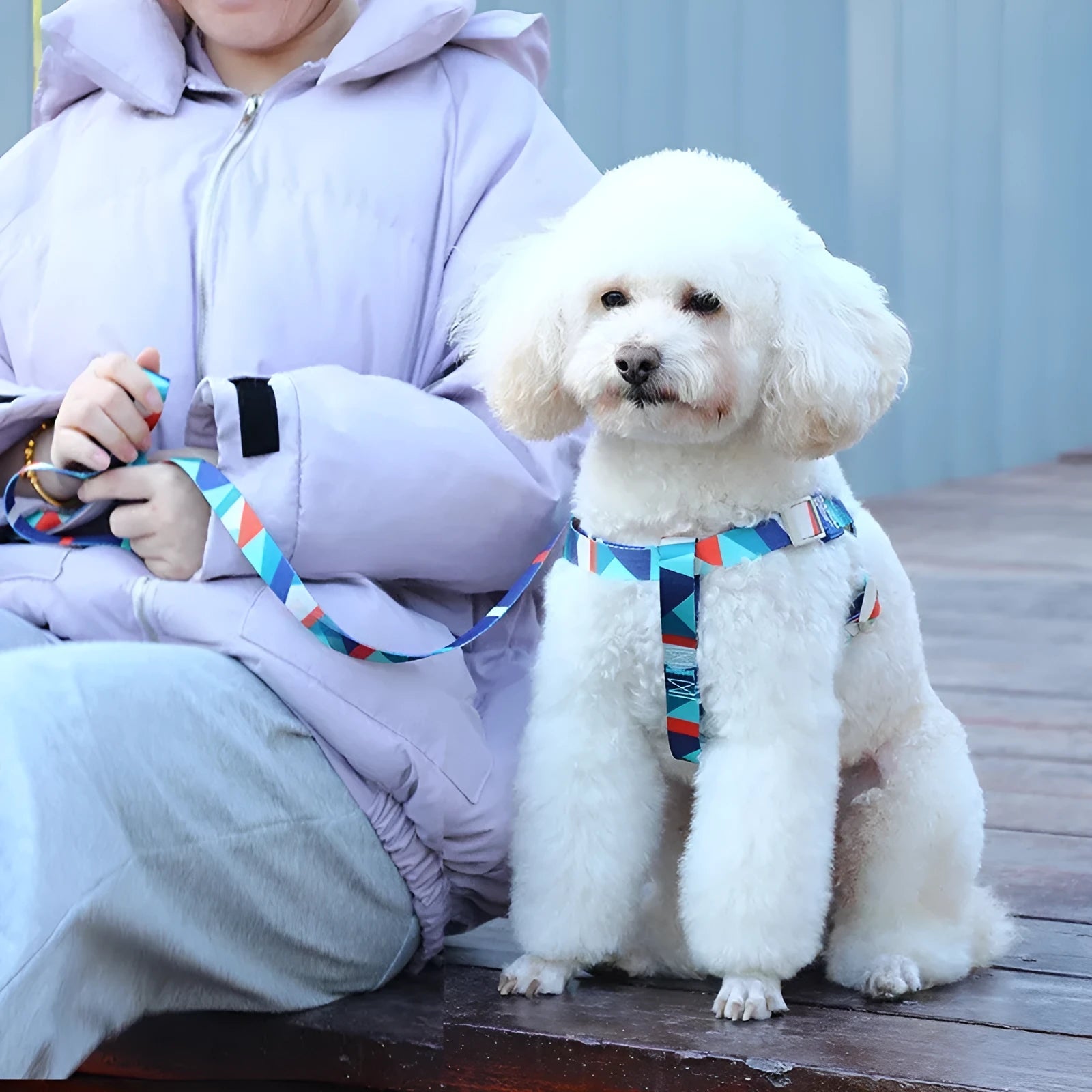 Blue dog vest with haulage rope and chest strap for pet walking control