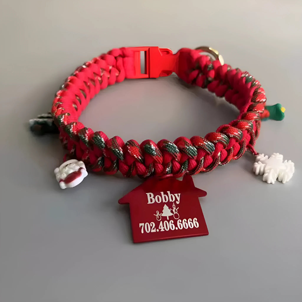 Green rope dog leash with a P chain section and a metal release buckle, held in a hand.