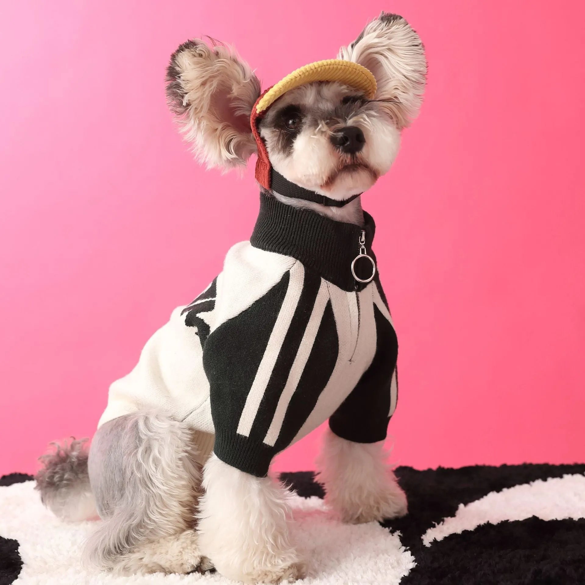 Red wool blend dog sweater cardigan on canine model showing casual sports-style design