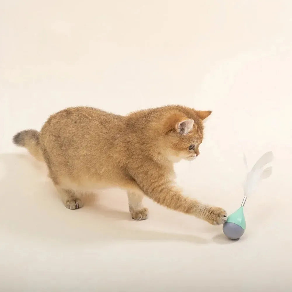 Feather tumbler cat toy with rolling ball and goose feather tease stick on a coloured background.