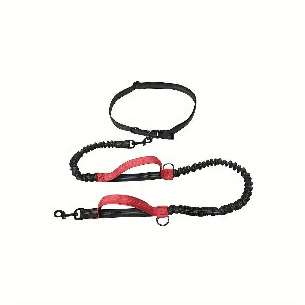 Hands-free dog leash with adjustable waist belt showing reflective trim and quick-release clip