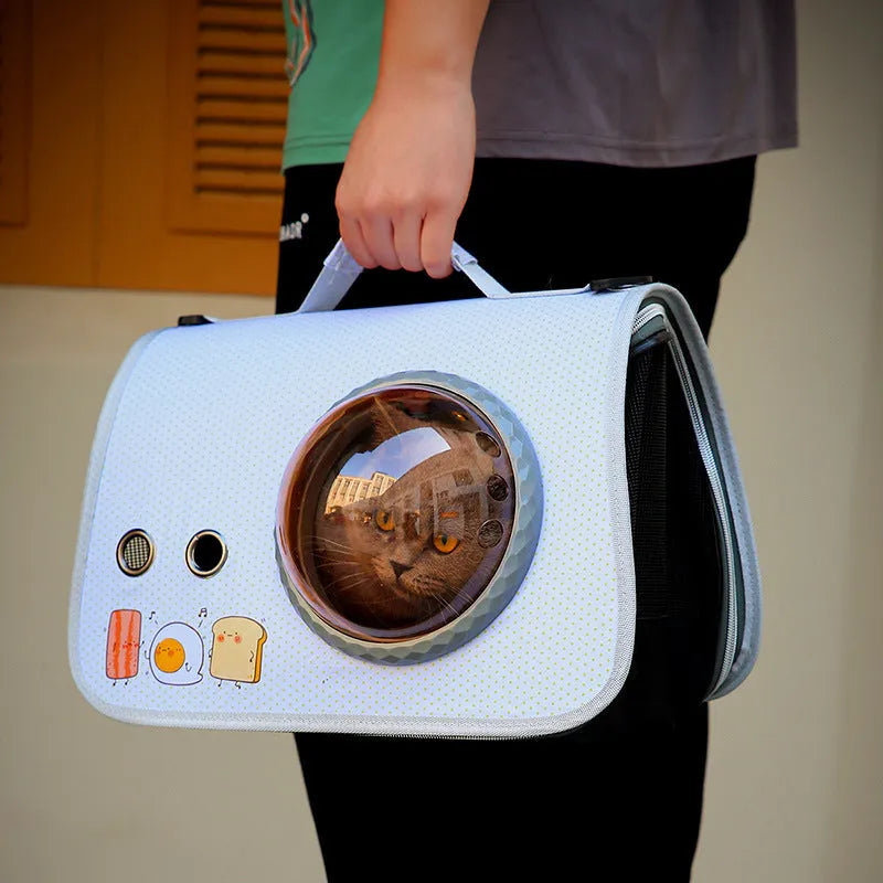 Transparent nylon pet carry bag with cartoon pattern and carrying handle