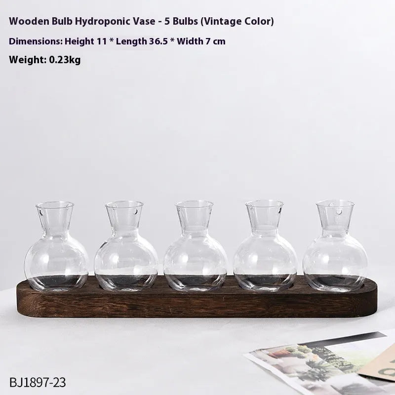 Transparent hydroponic vase in wooden frame for water plant display
