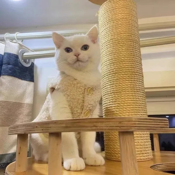Apricot polar fleece cat winter vest shown on a domestic cat with size guide for XS to XL