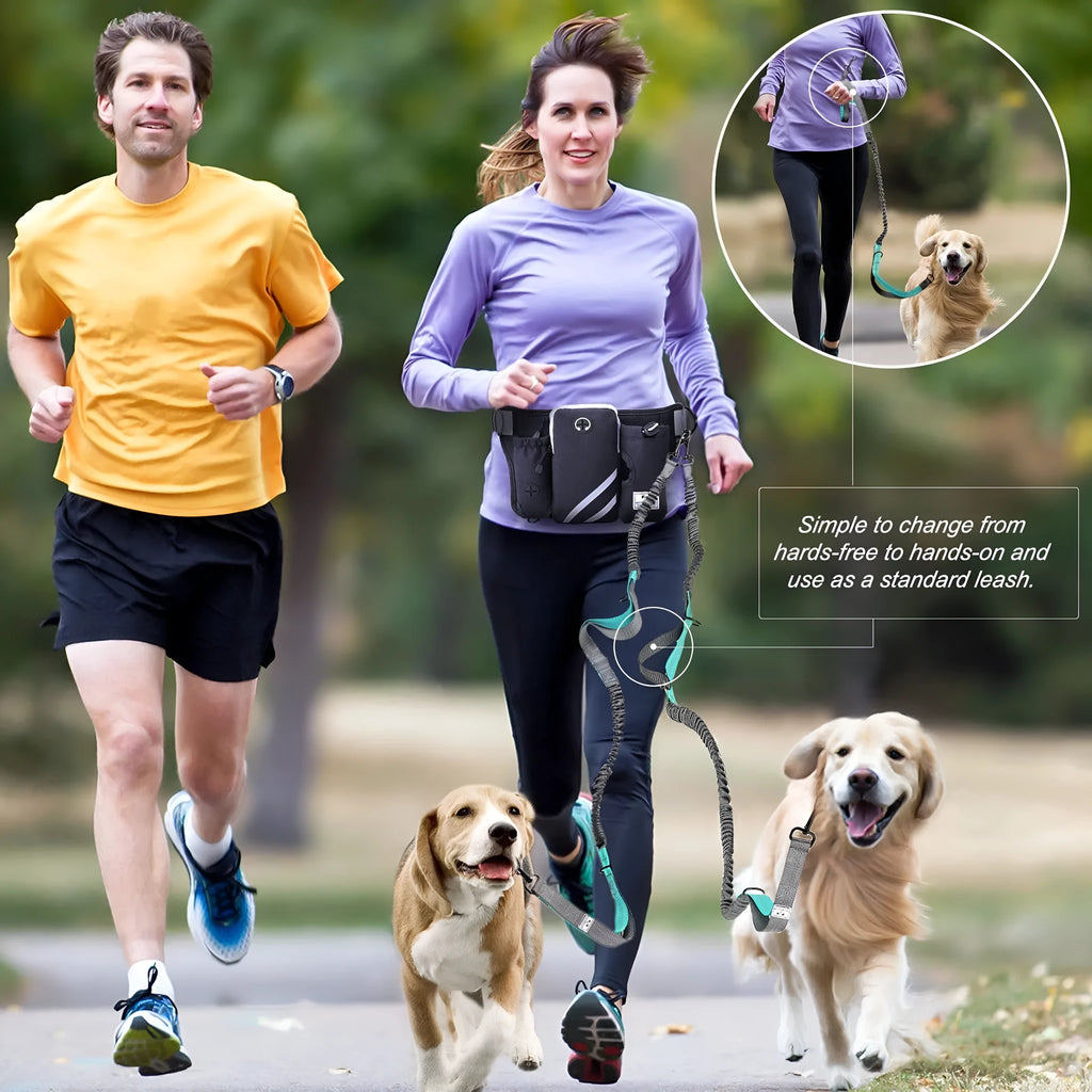 Black outdoor pet training waist bag with integrated dog leash and neck components for walking and training