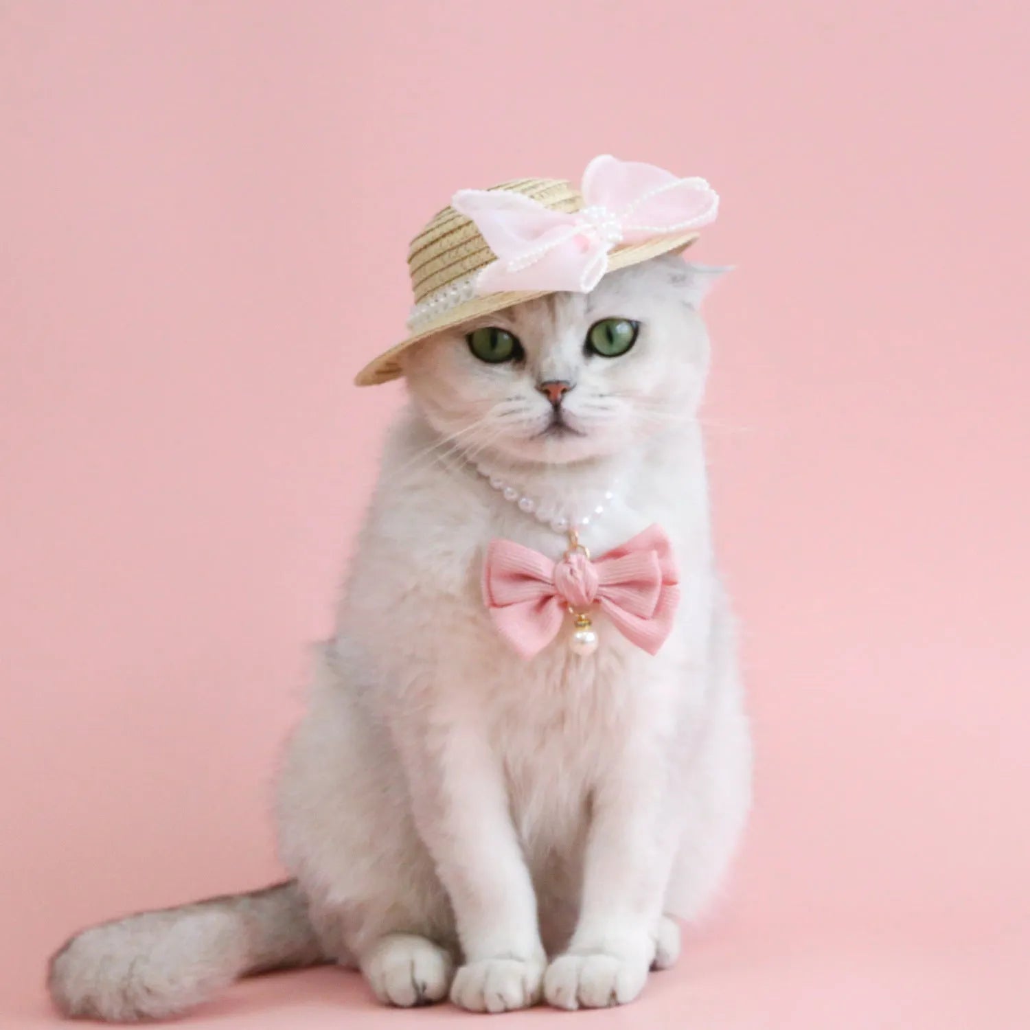 Princess-style woven cat hat with pearl butterfly bow in blue, pink, purple, or white on Lafite leaves.