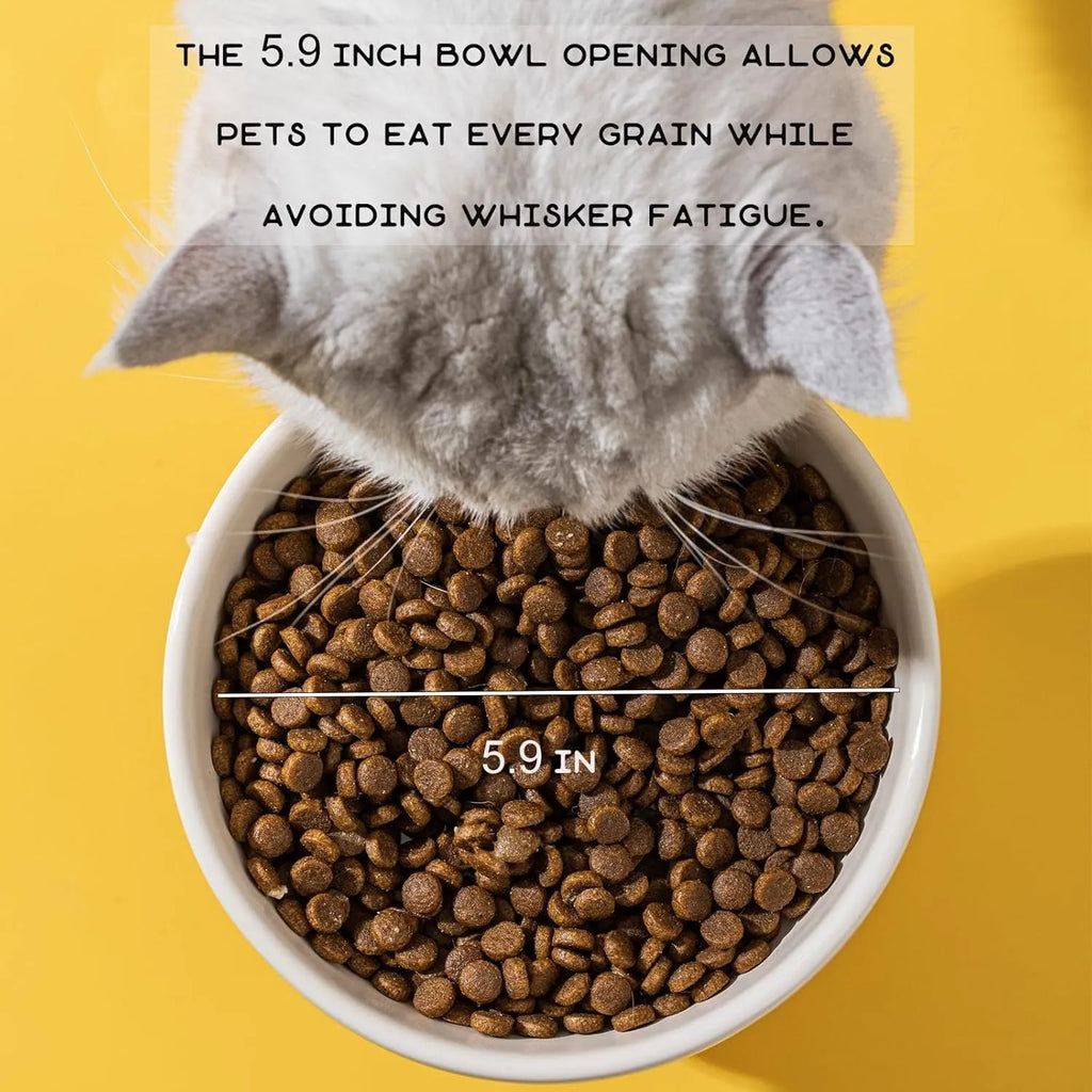 Raised ceramic pet bowl in animal design, showing wide shallow dish on elevated base.