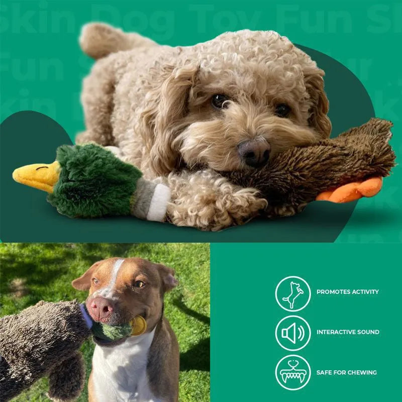 Green stuffless squeaky duck dog toy with bottle cavity for indoor play with dogs