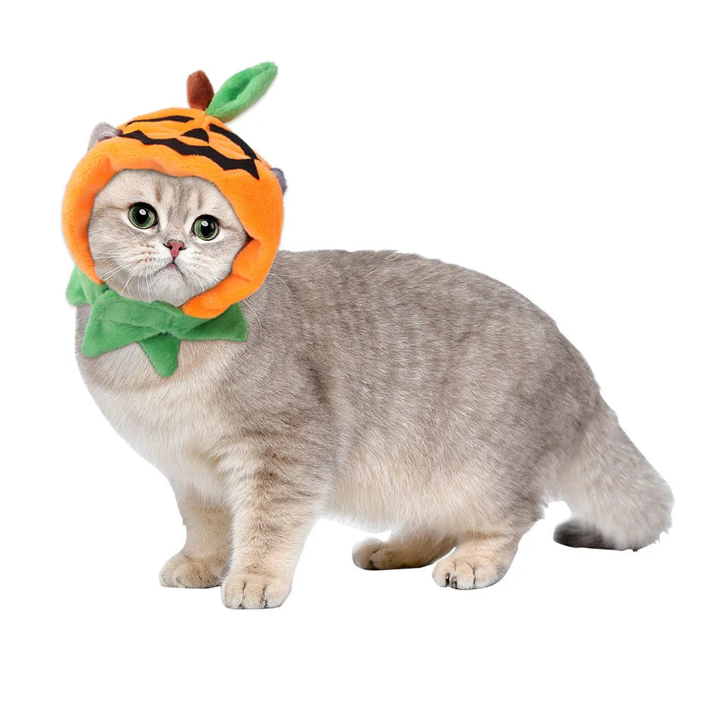 Plush double-sided pumpkin cloak Halloween costume for dog or cat in S, M, L sizes with hat option
