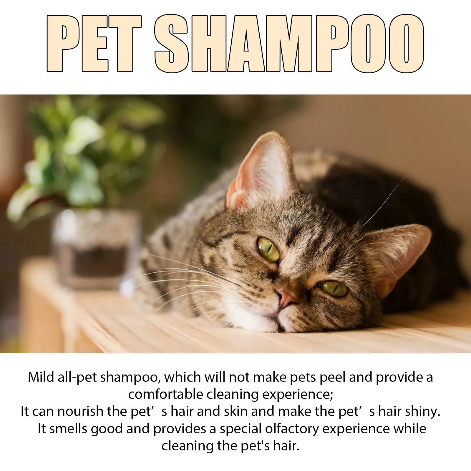 Bottle of mild pet shampoo for cats and dogs to soften fur and reduce knots.