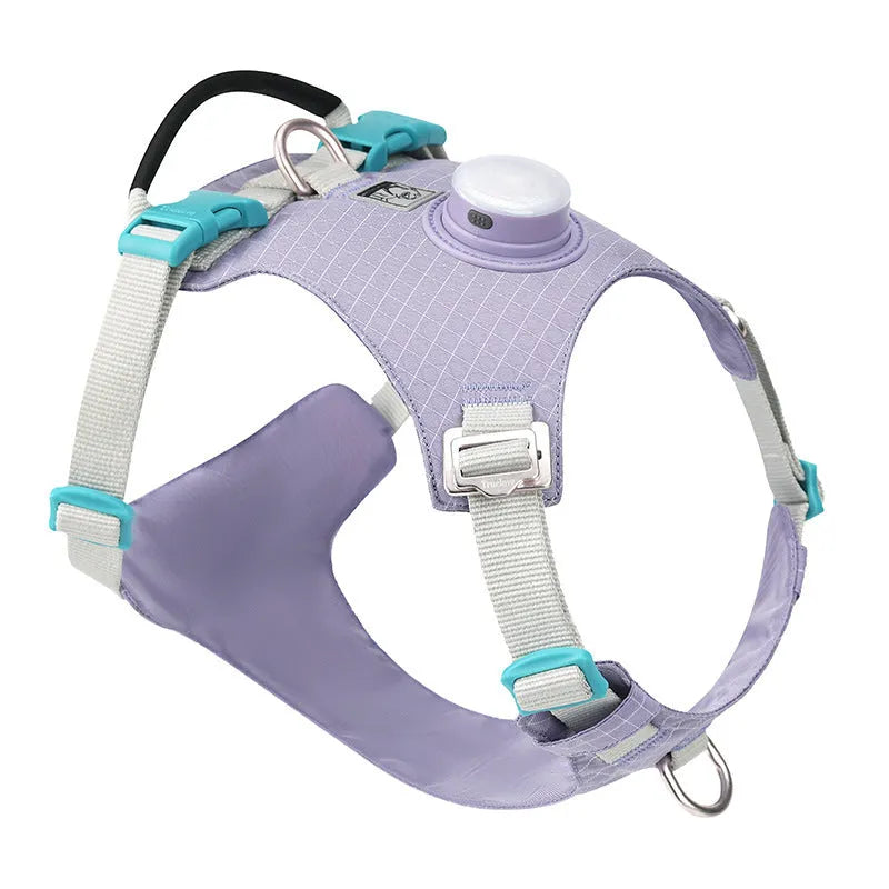 Nylon dog harness with LED light on dog's chest, shown in light purple, for nighttime walks.