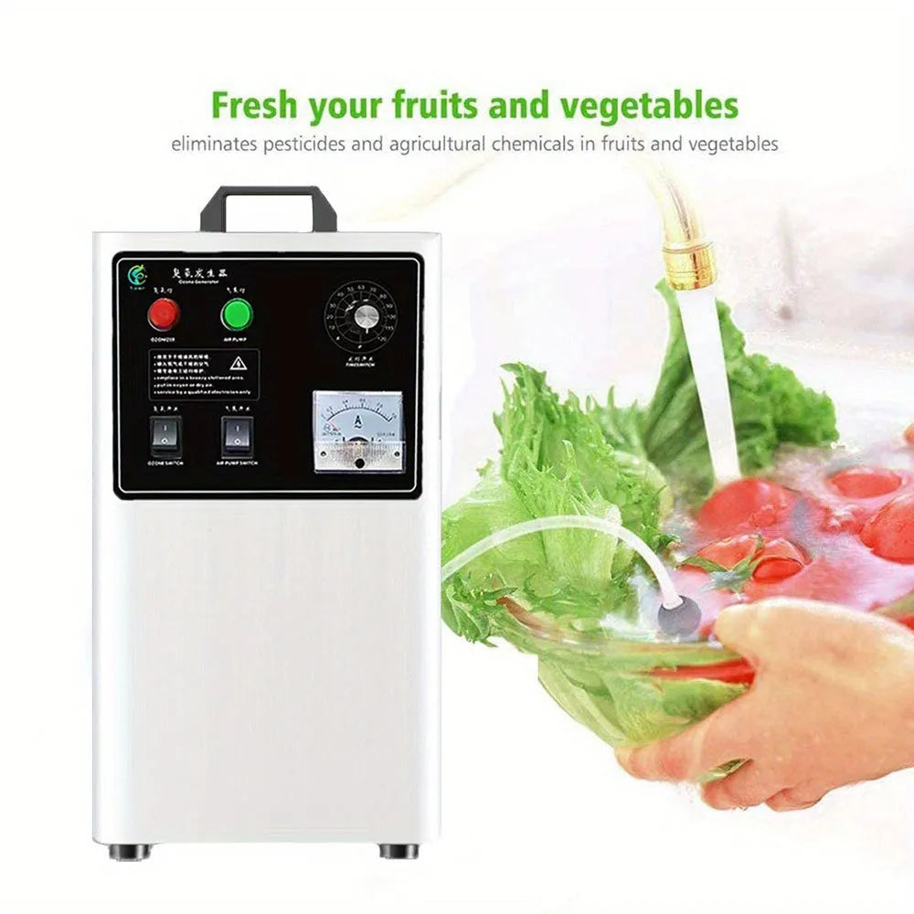 White or stainless steel ozone generator for cleaning fruit and vegetables with 20g/h output.