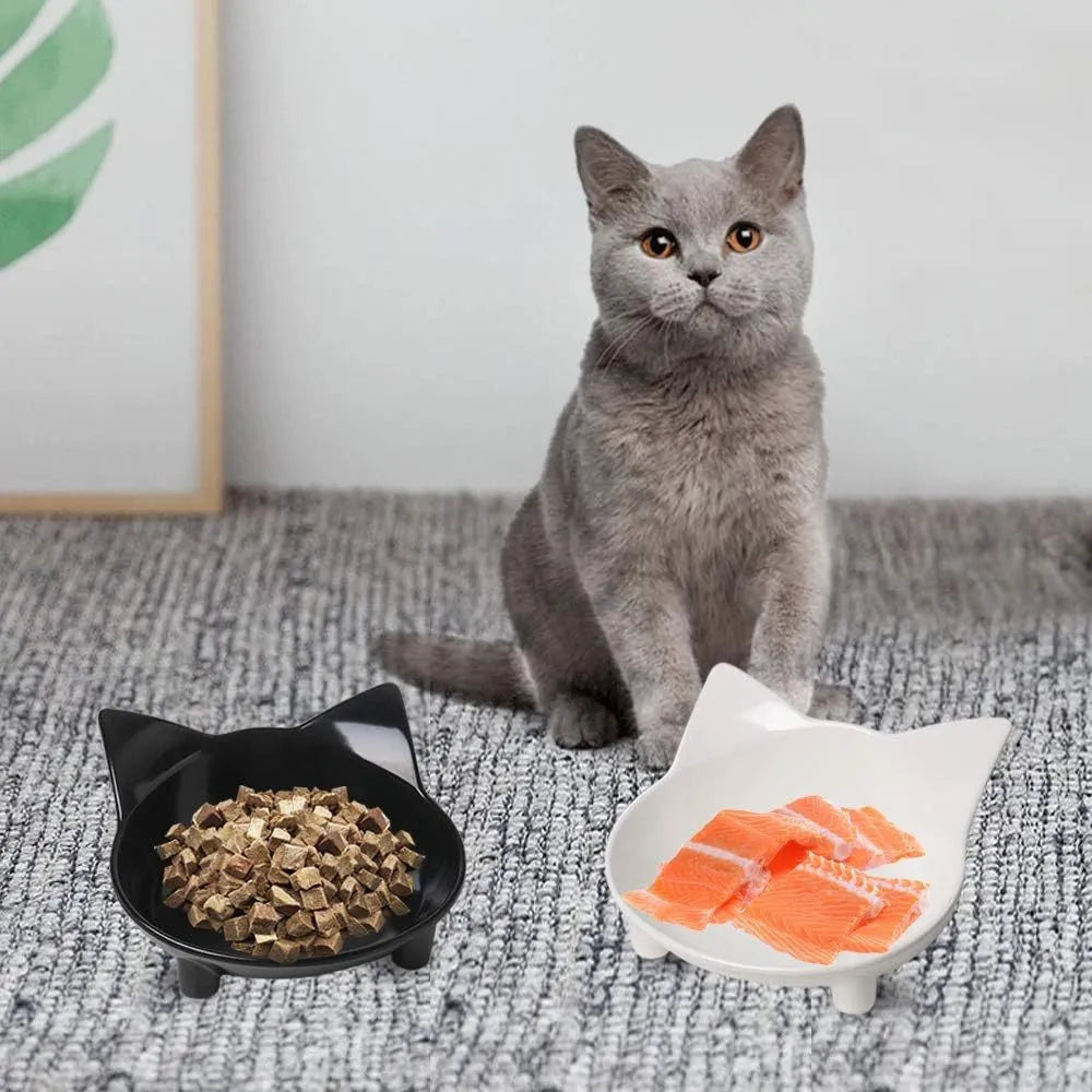 Shallow melamine cat bowl in white with a non-slip rubber base.
