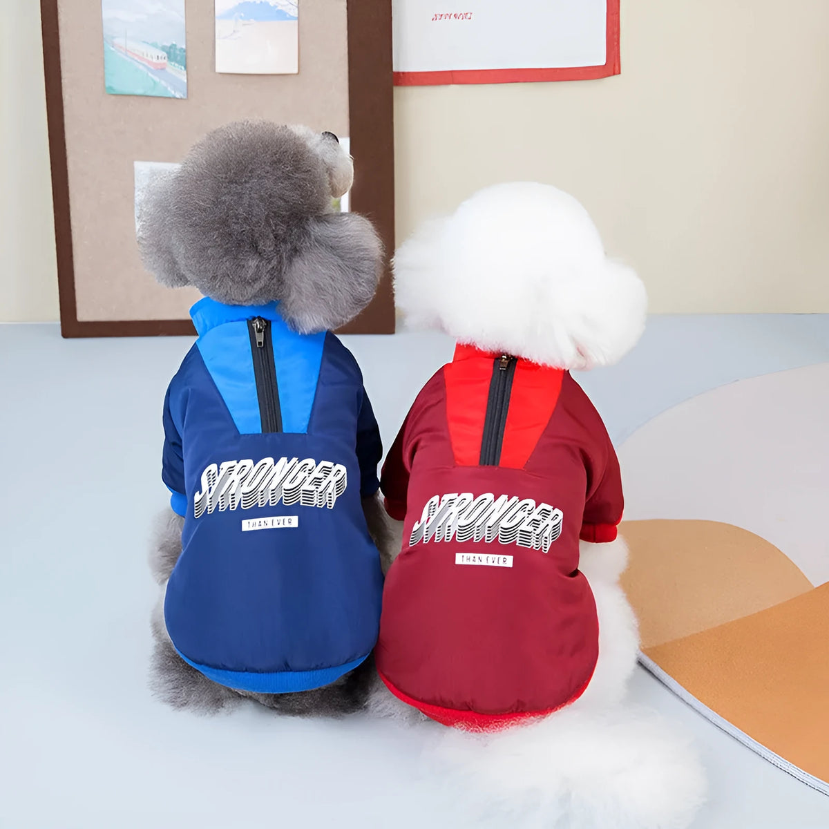 Thick warm pet dog cotton coat with V-shaped splicing, shown in red and blue, sizes XS to 3L