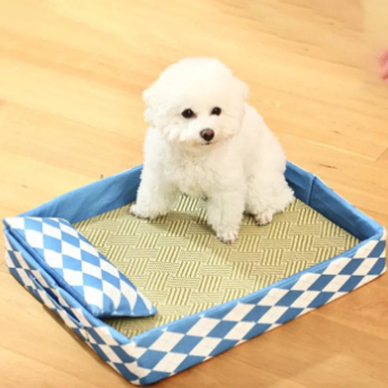Blue rattan weave cat bed and litter mat in a raised frame, shown with a cat resting on it.