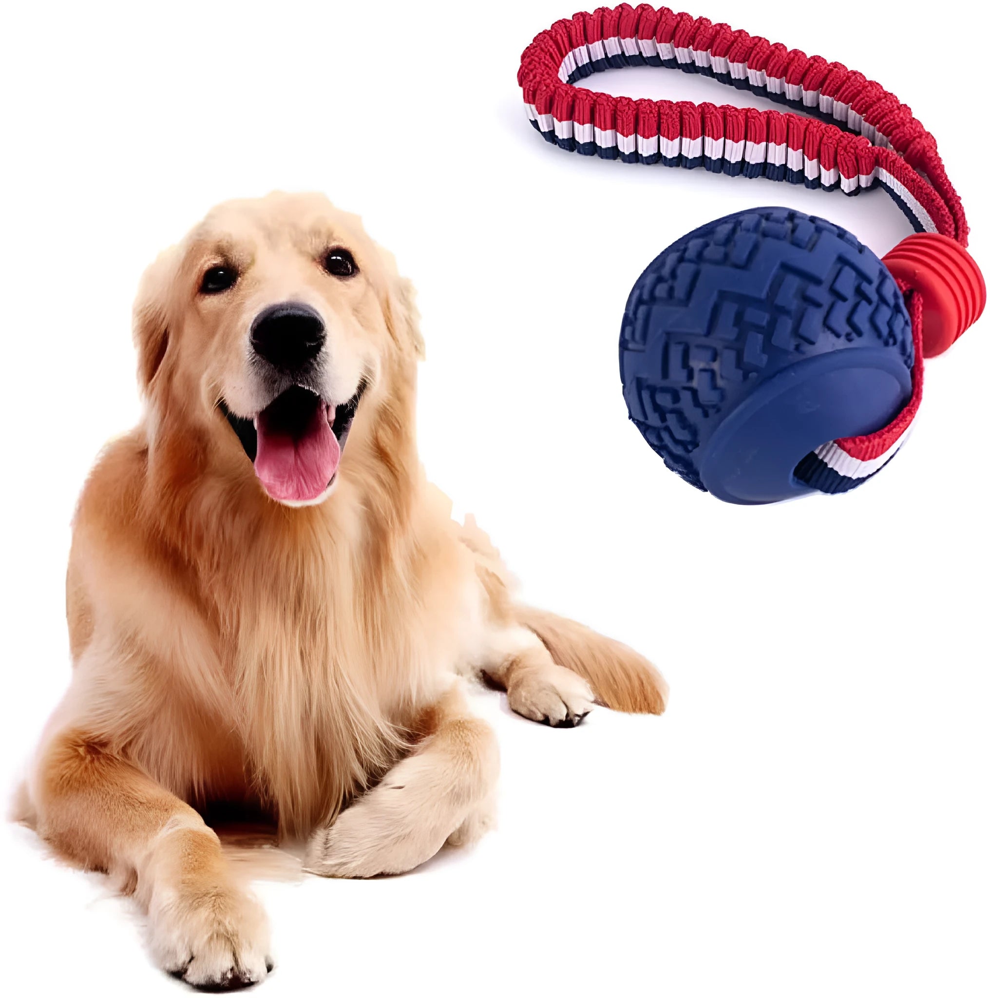 Blue natural rubber dog ball attached to a rope for tug-of-war and dental cleaning.