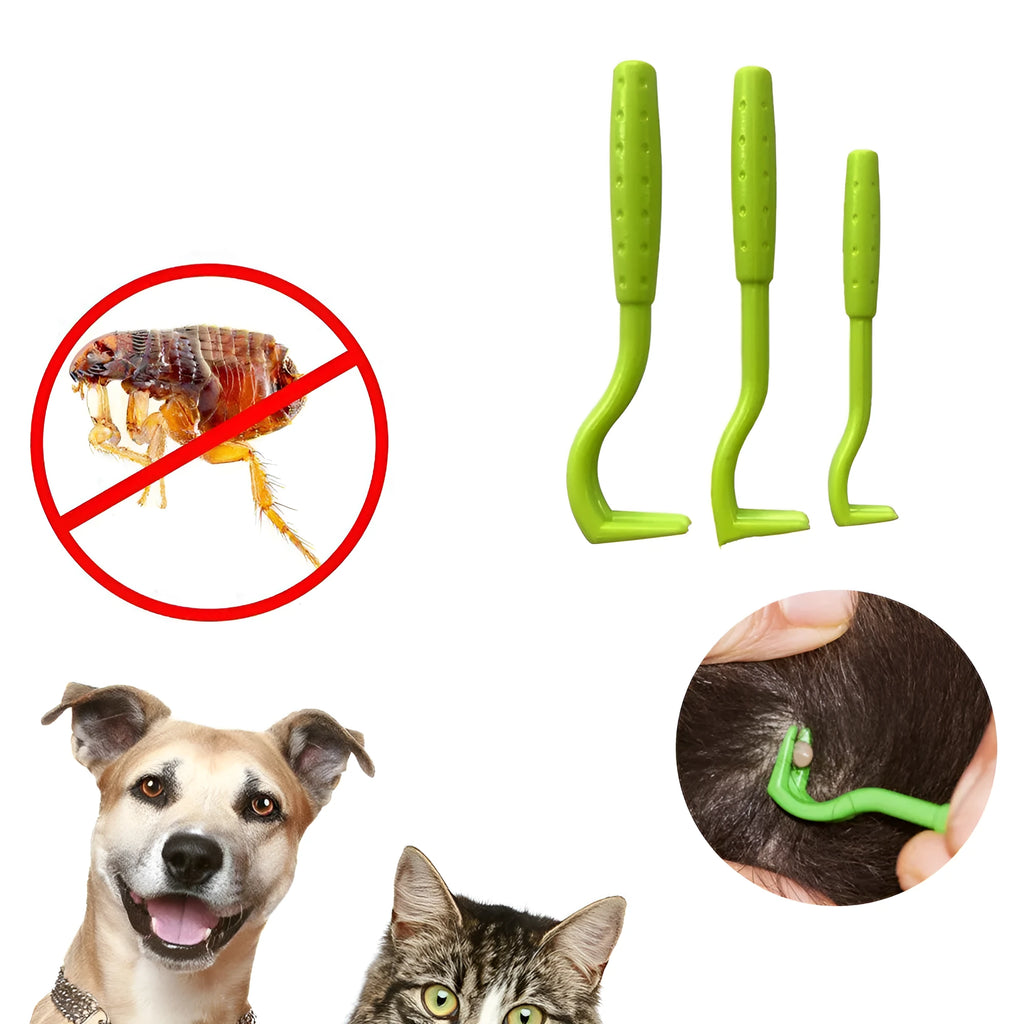 Three plastic pet tick removal clips in blue or green colours for dog and cat grooming