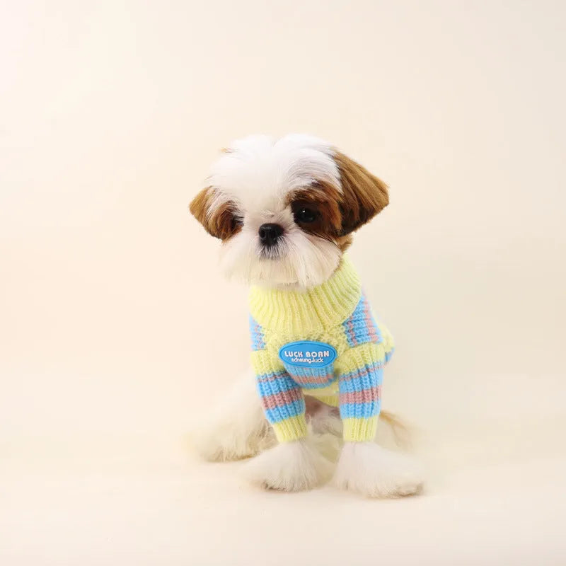 Blue and yellow striped wool blend dog sweater for small breeds in six sizes