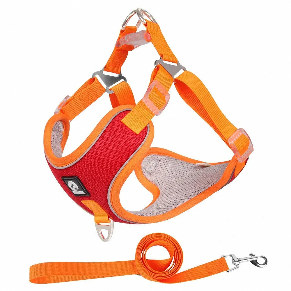Adjustable mesh dog harness with reflective piping in black colour on small dog