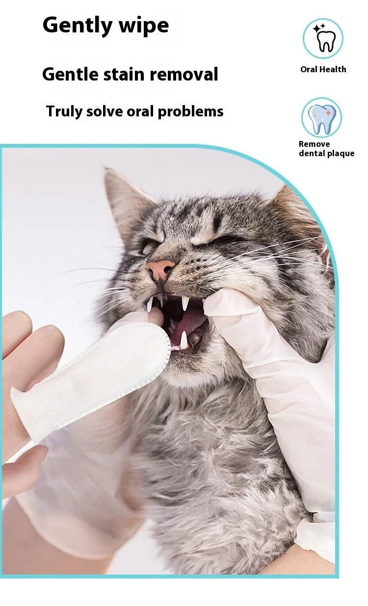 Pack of 50 disposable non-woven fabric finger cots for cleaning cat and dog teeth