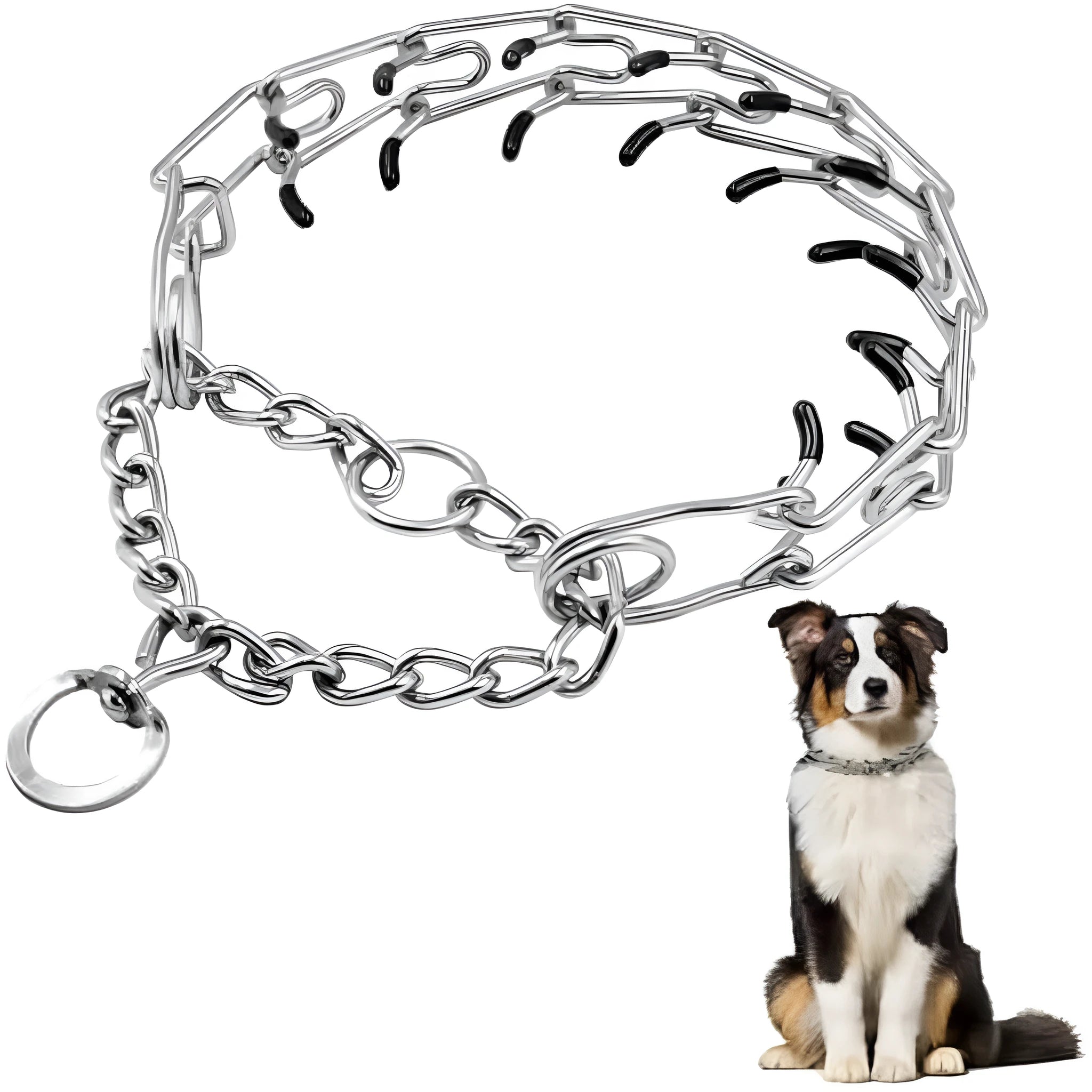 Stainless steel dog prong training collar with rubber tips and adjustable chain links.