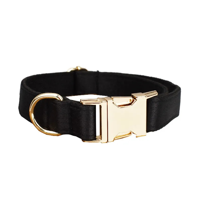 Dog wearing cloth collar and chest-strap vest harness with matching leash and decorative bow attached