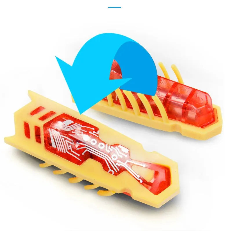 Electric crawling bug cat toy with ladybug shape on hard surface