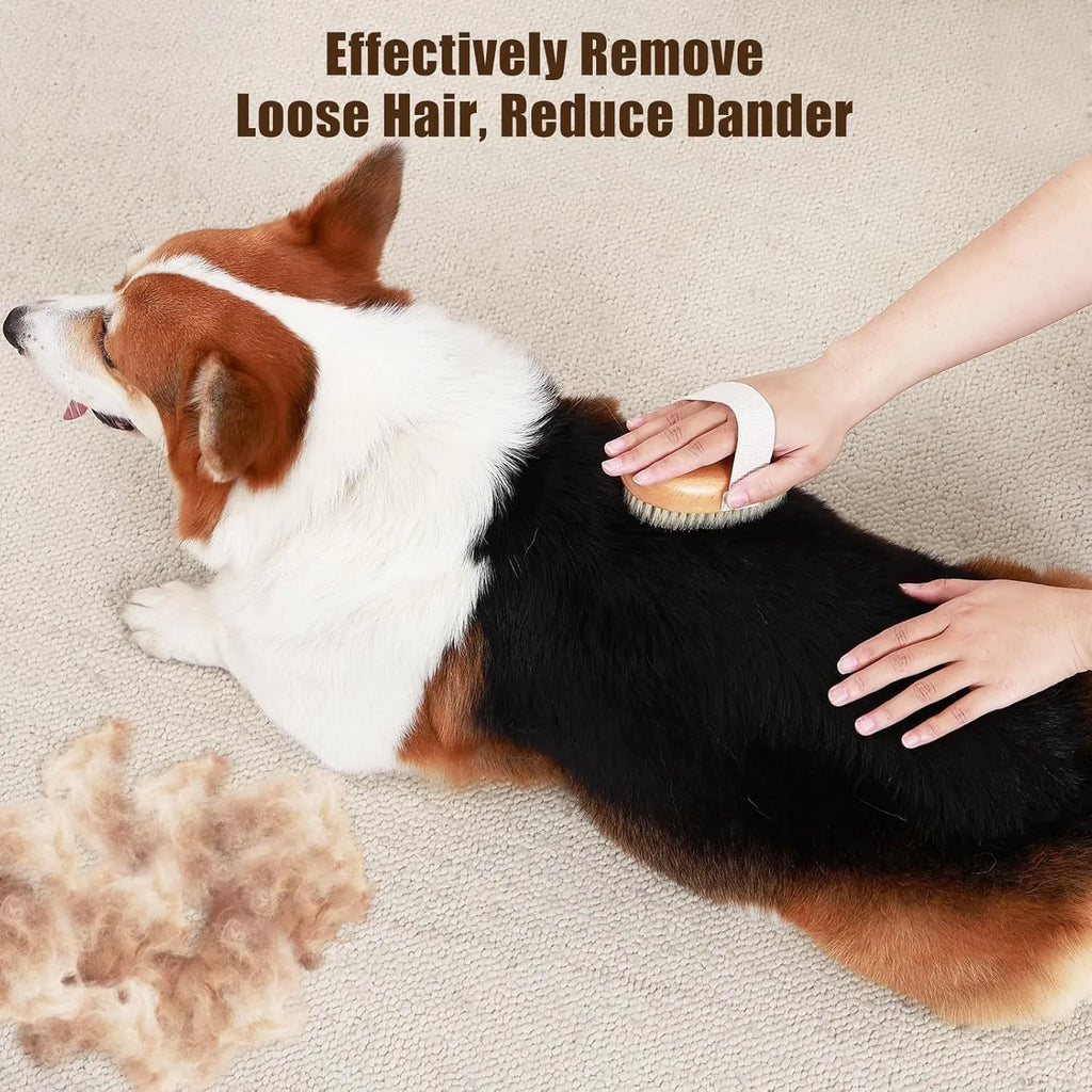 Soft boar bristle pet palm brush for short-haired dogs and cats with beech wood handle