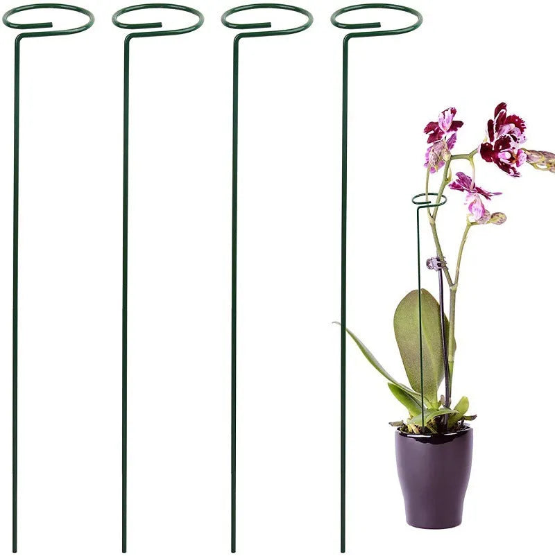 Metal round climbing plant bracket with wrought iron wire support, available in sizes from 20CM to 90CM
