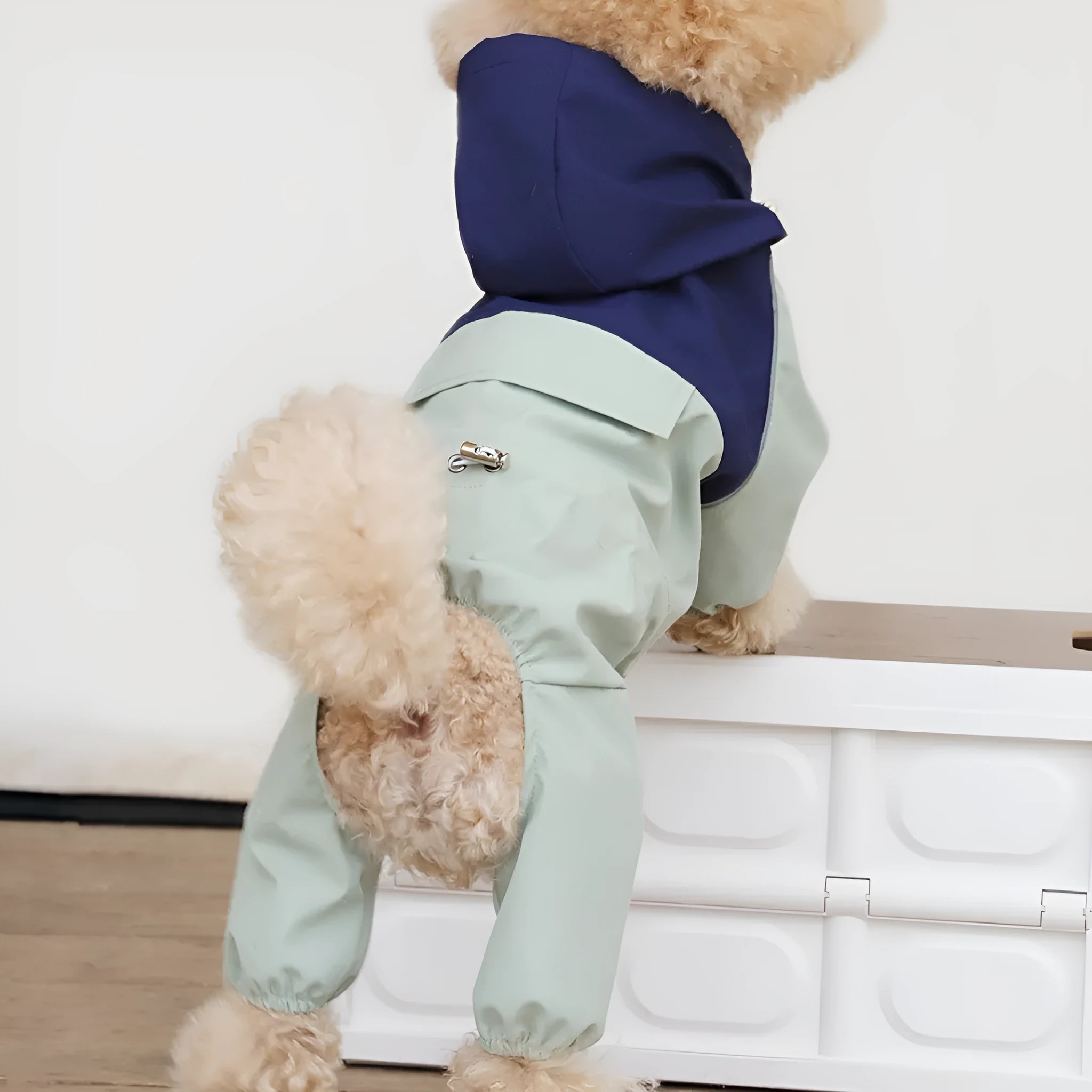 British-style khaki waterproof dog jacket on a medium-sized dog, showing tailored fit and buckle closure.