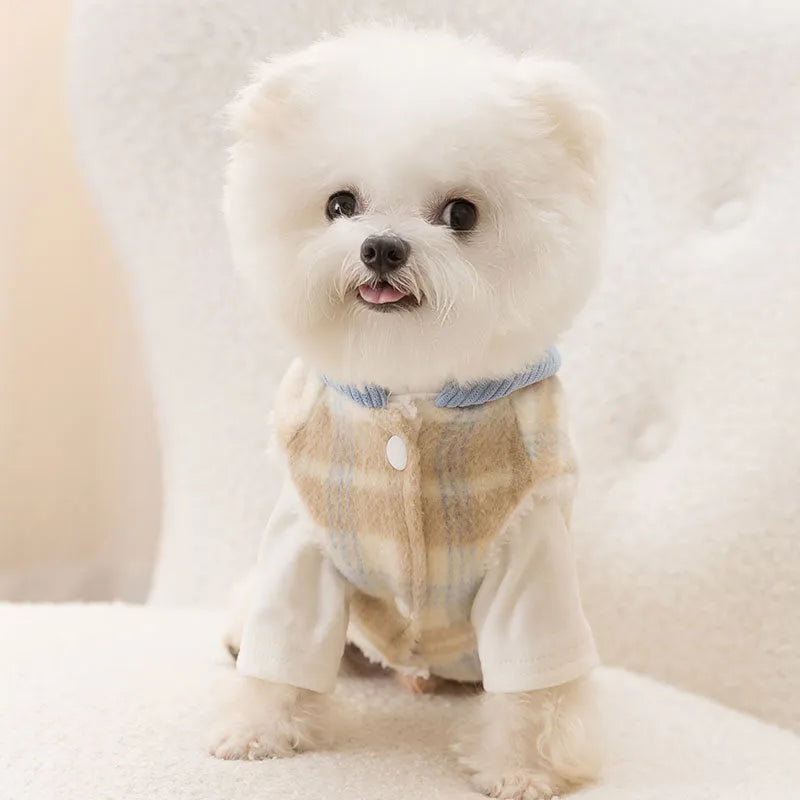 Blue corduroy dog hoodie with black and white chessboard grid pattern and a hood.