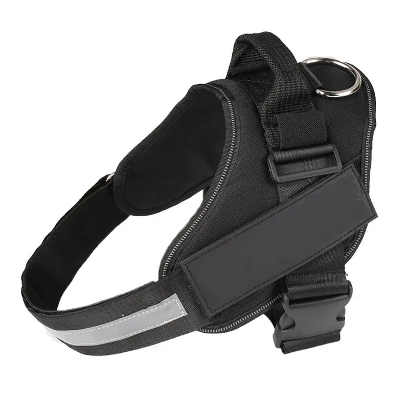 Personalised reflective nylon no-pull dog harness vest on a dog, showing adjustable straps and D-ring.