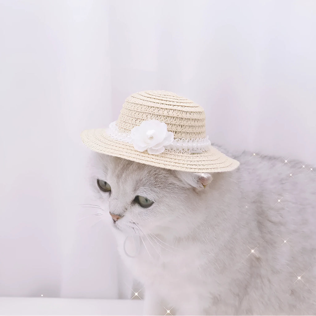 Handmade adjustable bowknot paper hat for a dog or cat, shown in a cartoon style with colour options.