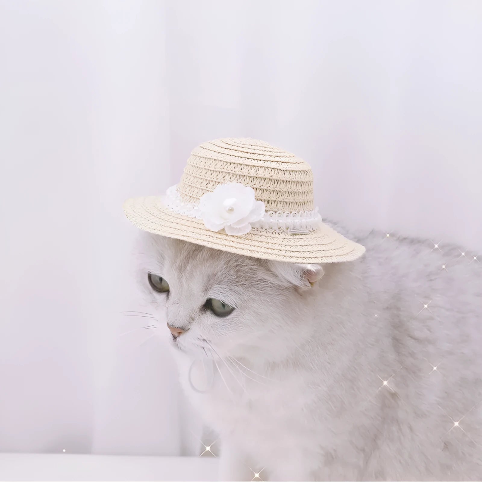Handmade adjustable bowknot paper hat for a dog or cat, shown in a cartoon style with colour options.