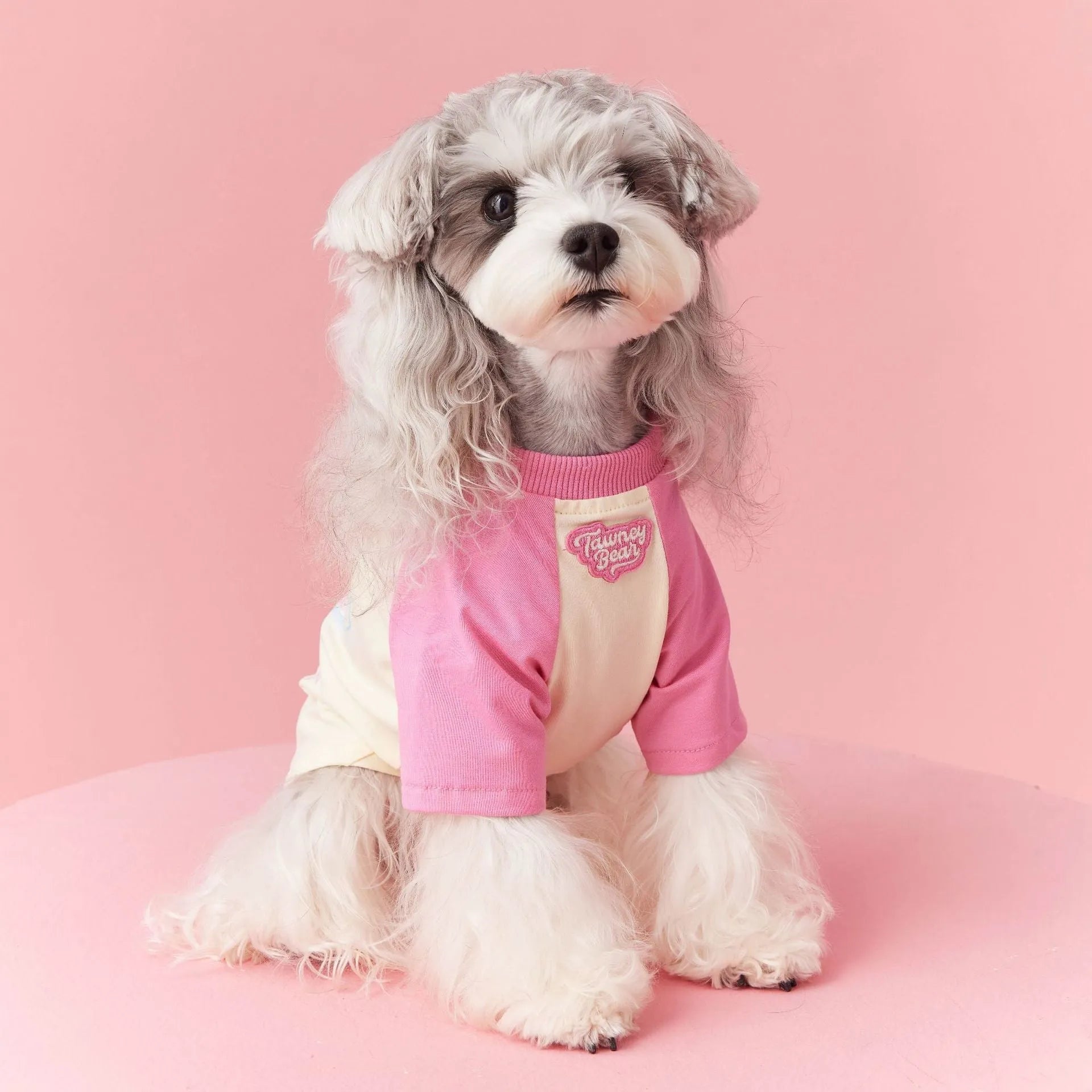 Cotton summer dog clothes with contrast colour details in embroidered red or pink, available in six sizes