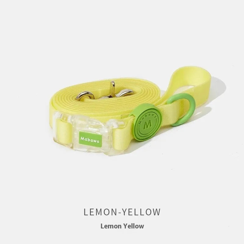 Nylon dog collar and hand holding rope set in four colours smoky gray new green lemon yellow rose pink