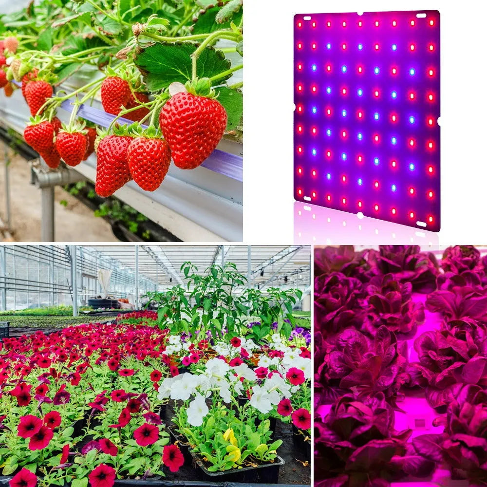 Aluminium housed LED plant growing light with hook for mounting above indoor fruit and vegetable plants.