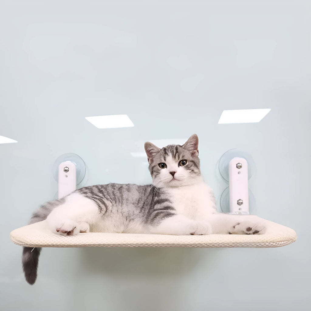 Foldable grey mesh cat hammock with stainless steel suction cups mounted on a window