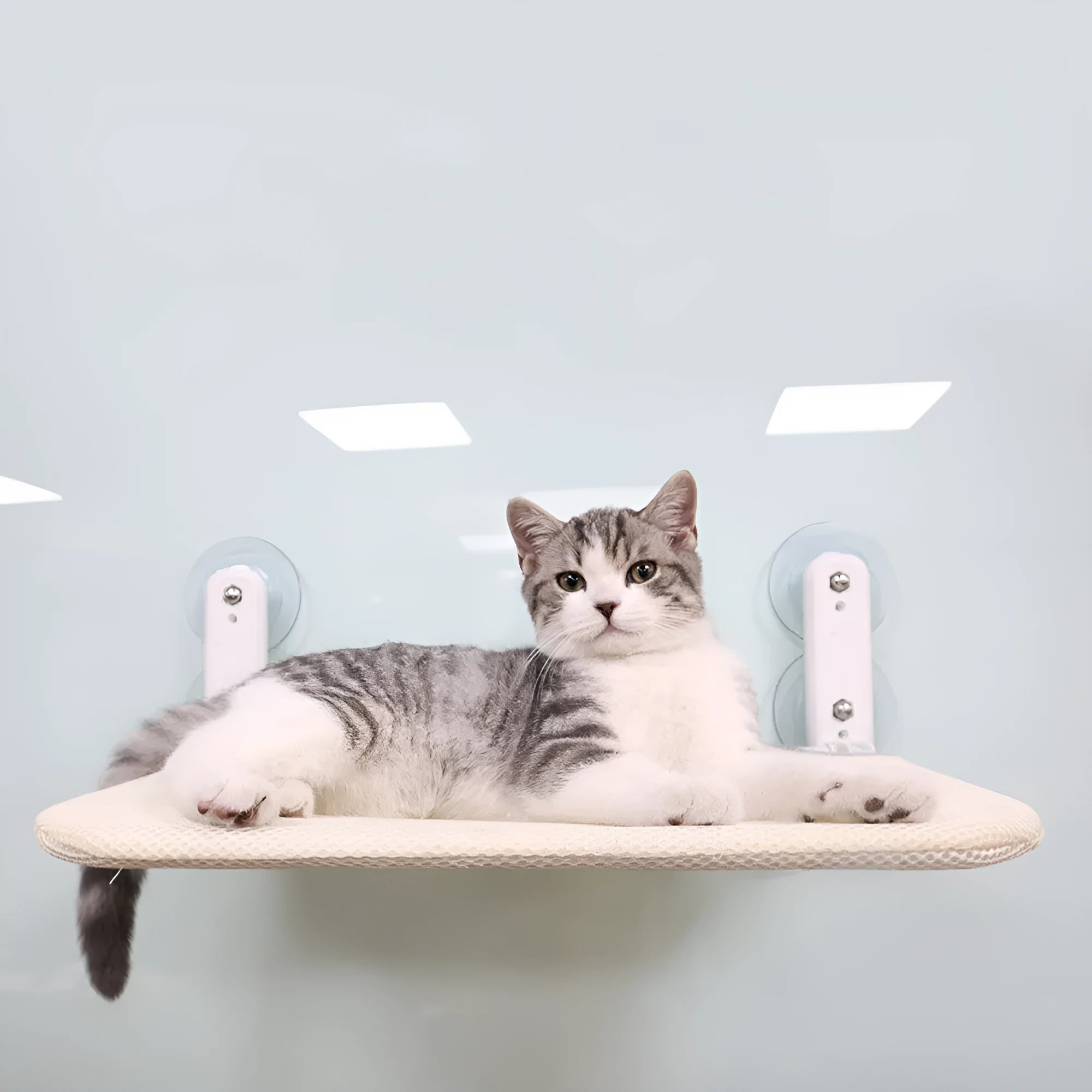 Foldable grey mesh cat hammock with stainless steel suction cups mounted on a window