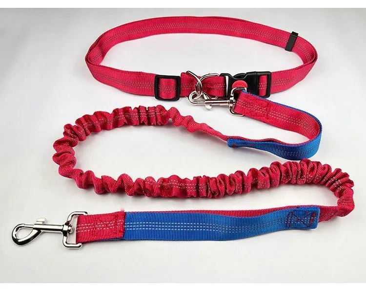 Outdoor running dog leash with night reflective filament sling and elastic adjustment in nylon construction