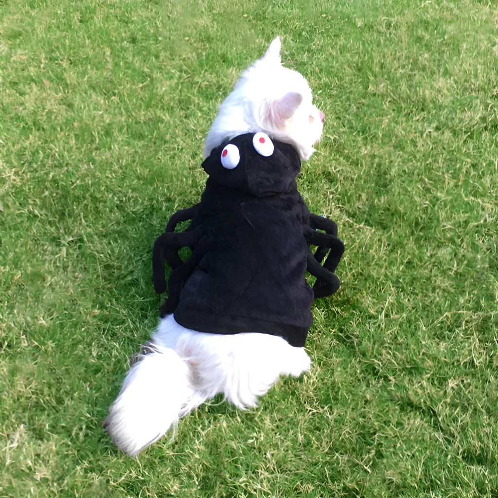 Halloween dog costume with black spider pattern on polyester fabric in sizes S, M, L.