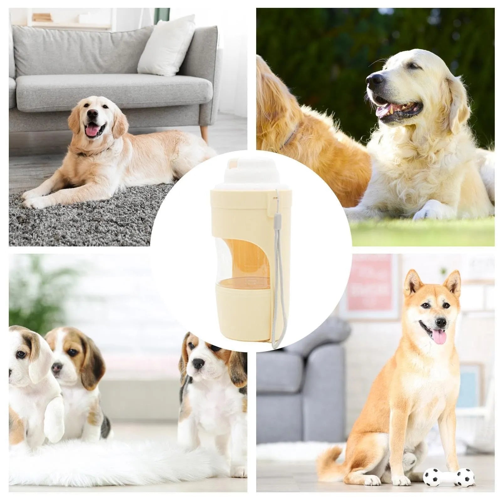 Green 2-in-1 travel dog water bottle with lanyard showing food and water compartments