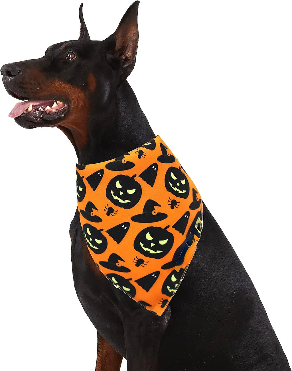 Reversible Halloween dog bandana showing pumpkin design on one side and spider web pattern on the other