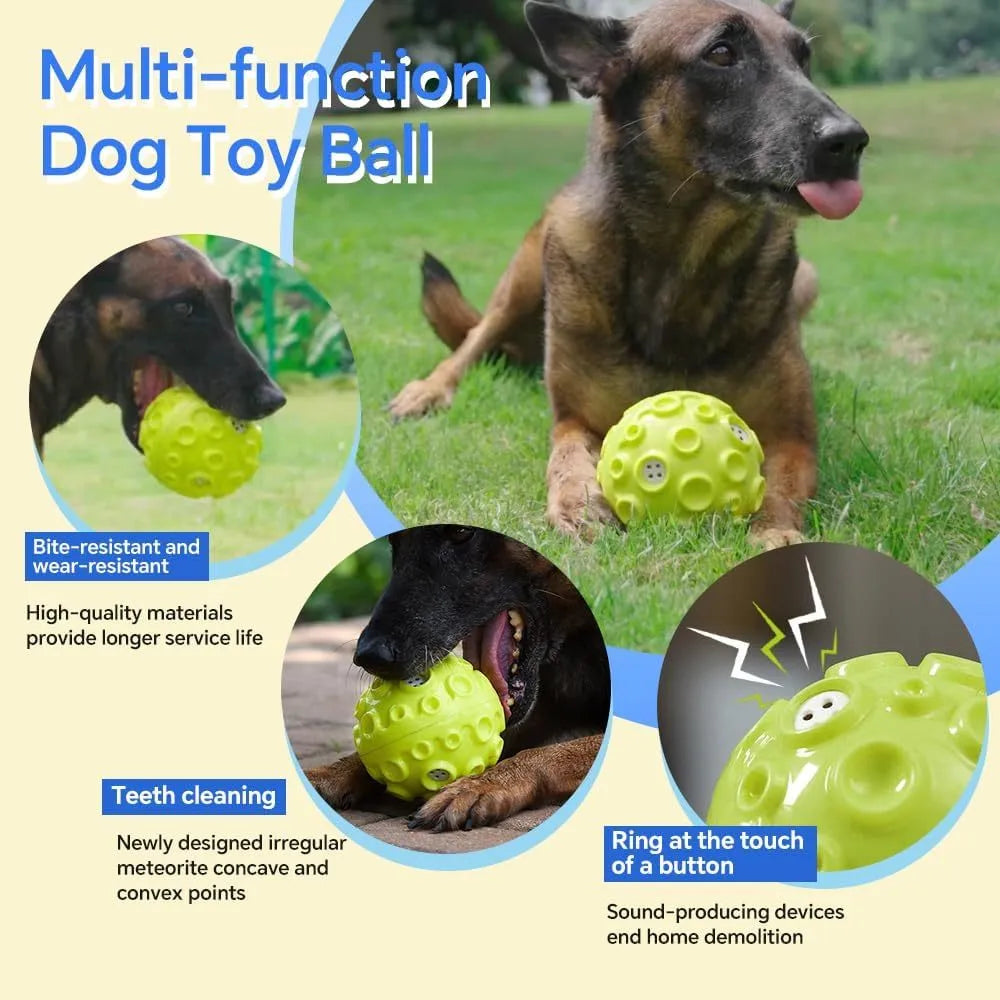 Durable rubber dog chew ball in multiple colours with squeaky sound and teeth-cleaning bumps.