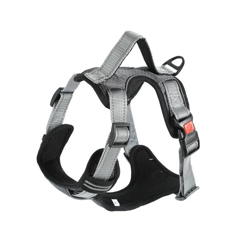 Orange polyester dog chest strap vest harness with an adjustable strap and a matching hand holding rope.