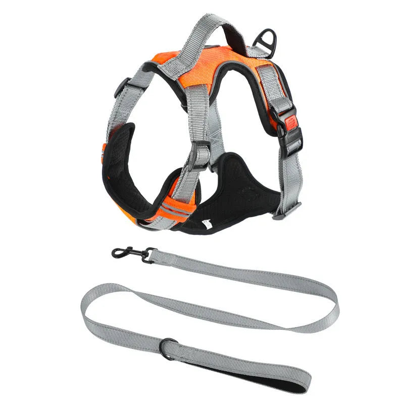 Orange polyester dog chest strap vest harness with an adjustable strap and a matching hand holding rope.